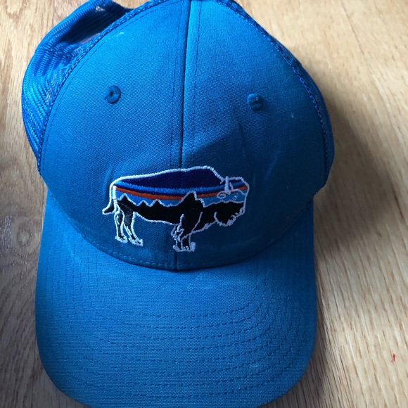 Patagonia Other - Patagonia Trucker Hat